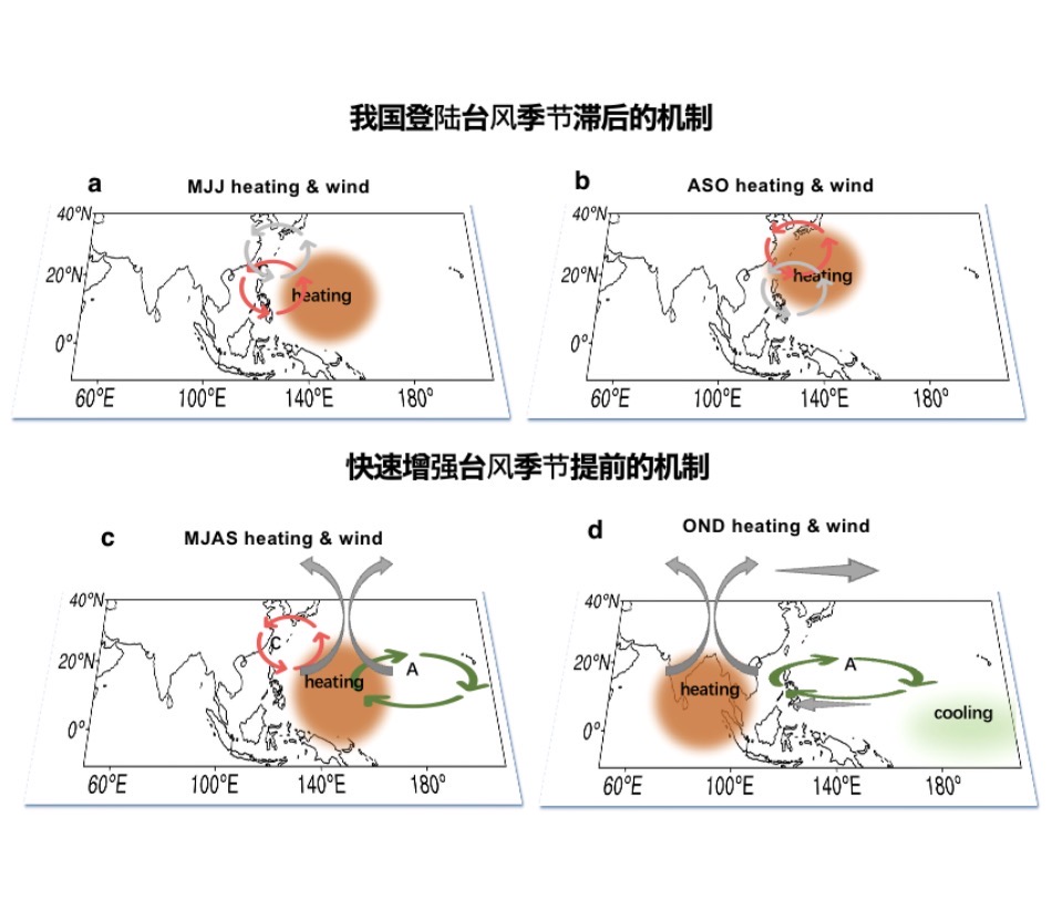IMG_8246.jpeg IMG_8246.jpeg