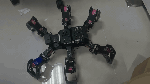 converted.gif converted.gif